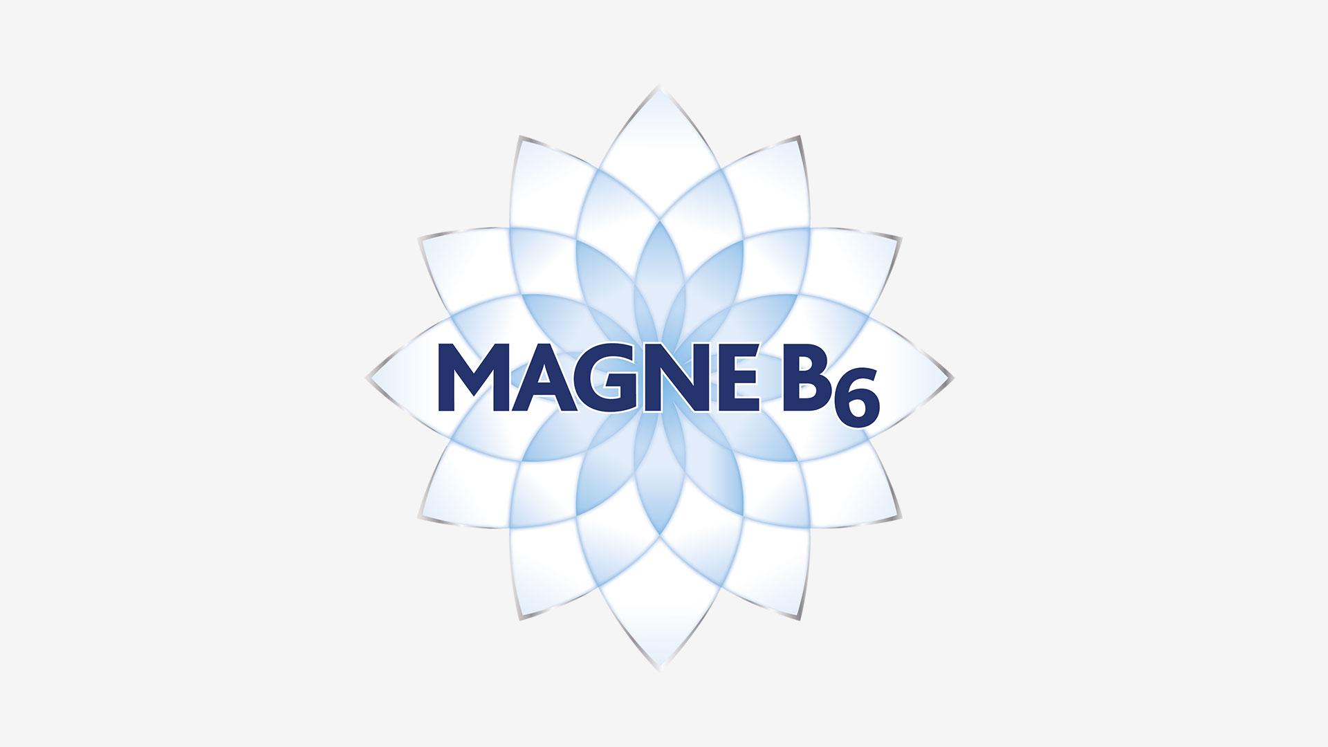 Magne B6 logo